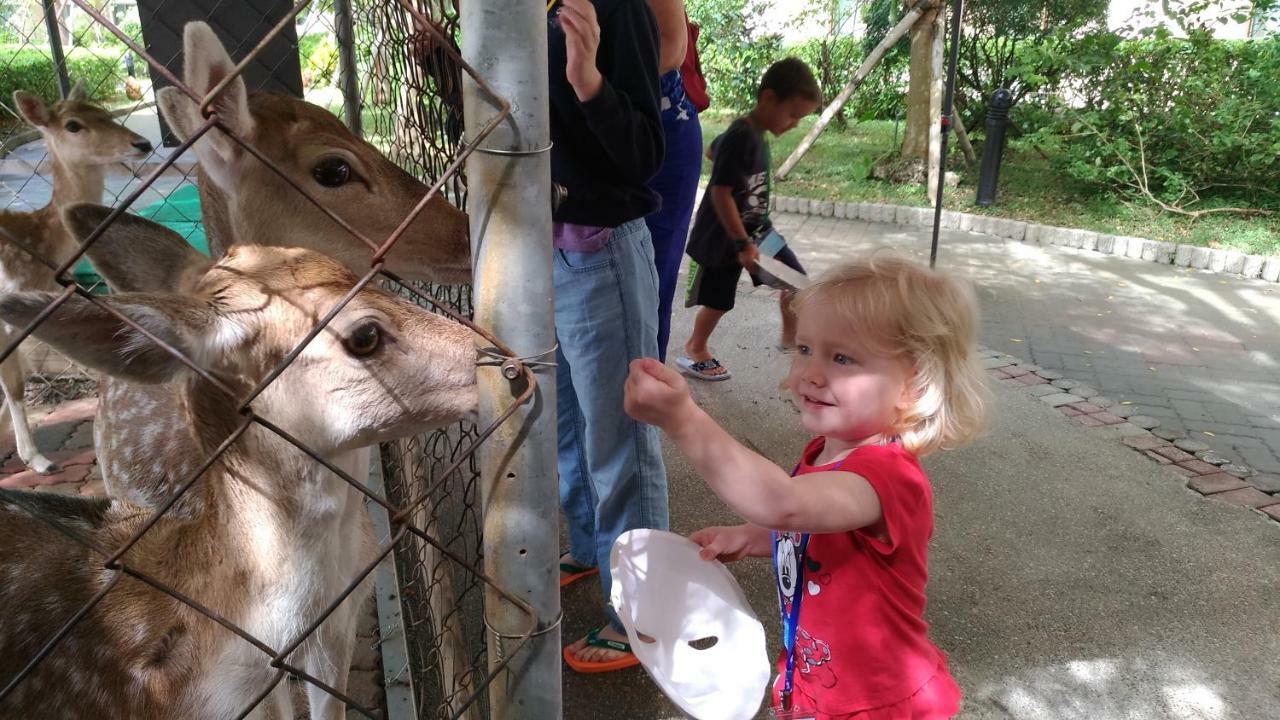 Howard Beach Resort קנטינג מראה חיצוני תמונה Feeding the kangaroos