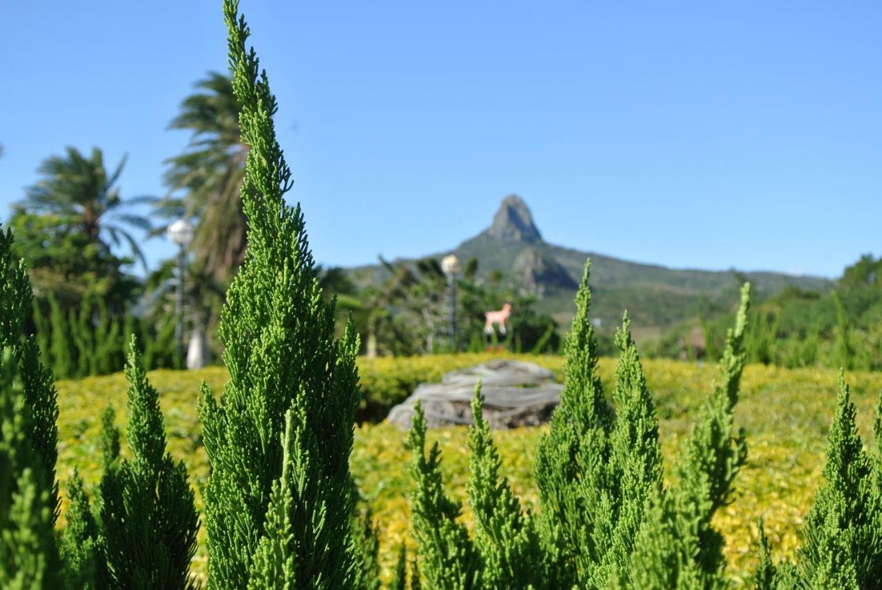 Howard Beach Resort קנטינג מראה חיצוני תמונה View of Pico do Papagaio